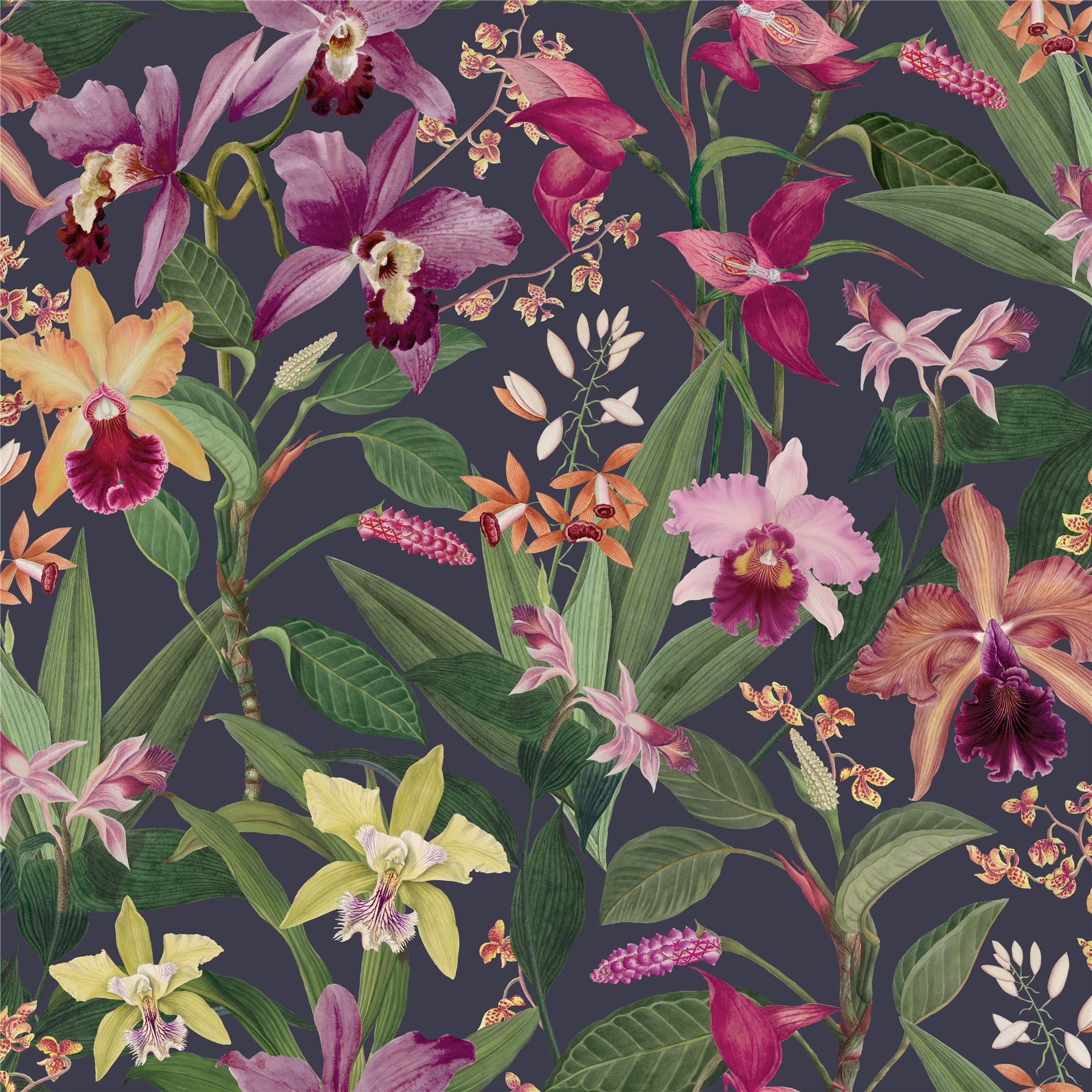 RHS Orchid Botanical Purple Wallpaper - Esselle Home