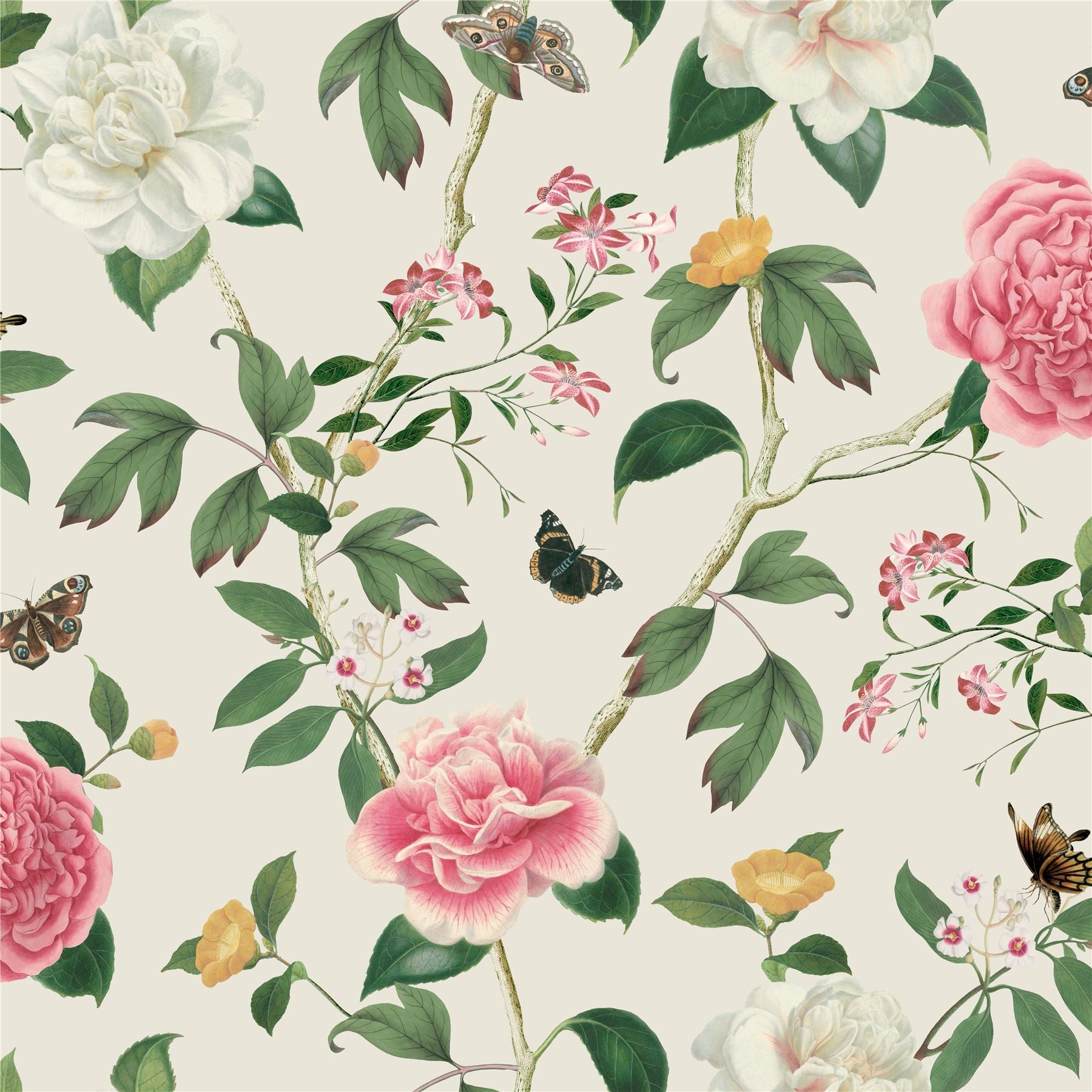 RHS Chinoiserie Charmer Cream Wallpaper