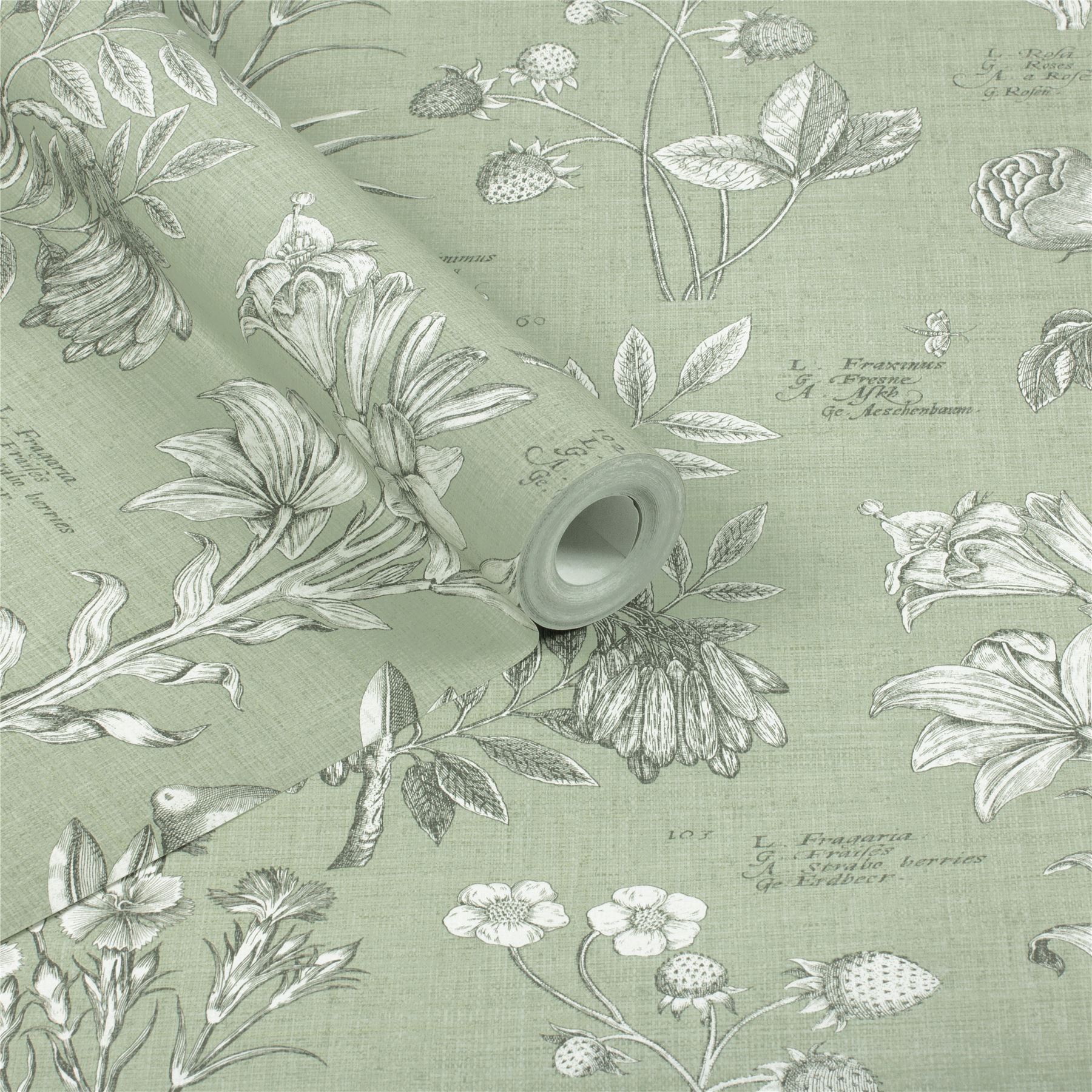 RHS Botanical Sketchbook Sage Wallpaper