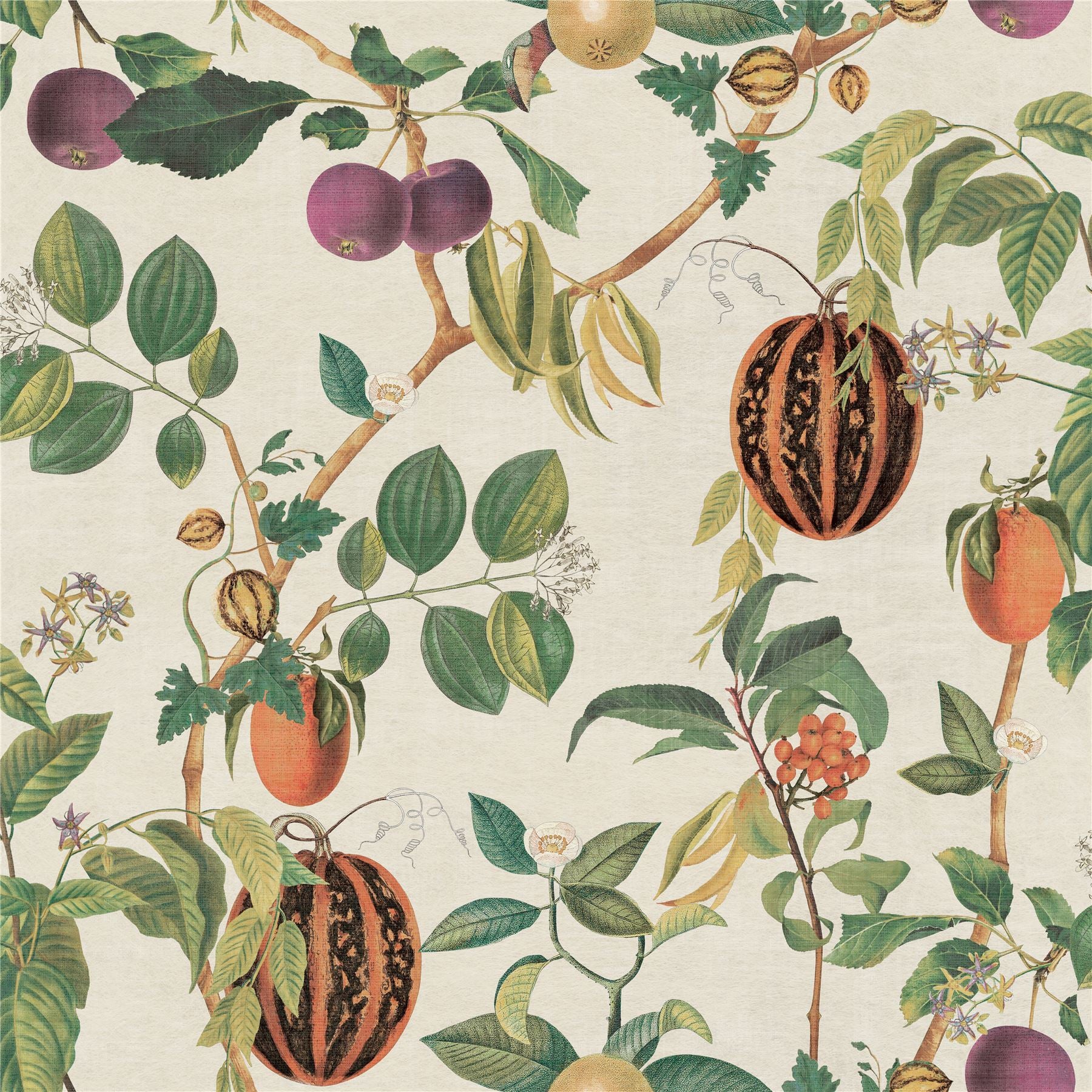 Tropic House Parchment/Green Wallpaper
