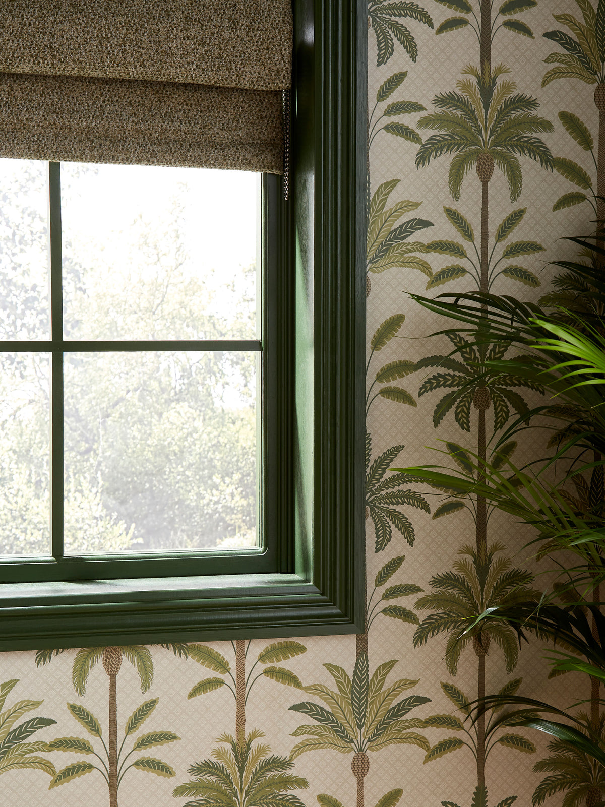 Solana Green Palm | Tropical Leaf Wallpaper - Esselle Home