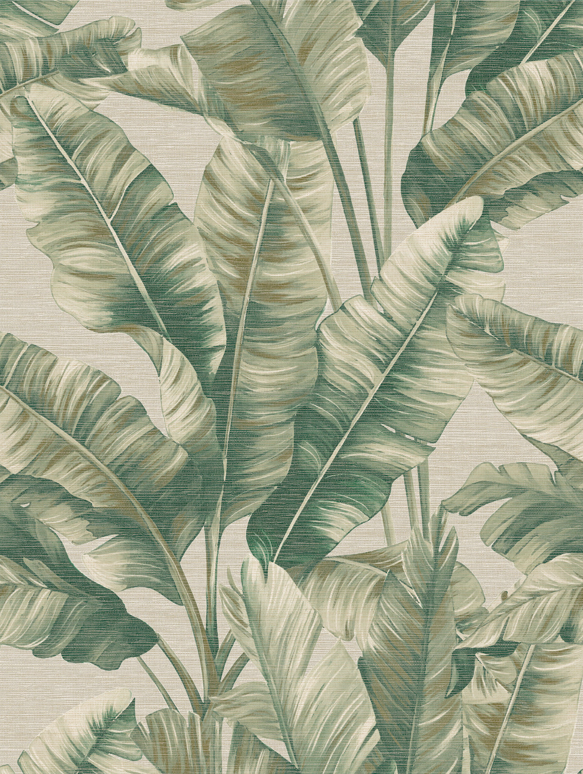Wallpaper Canopy Green Palm | Botanical Leaf Wallpaper - Esselle Home