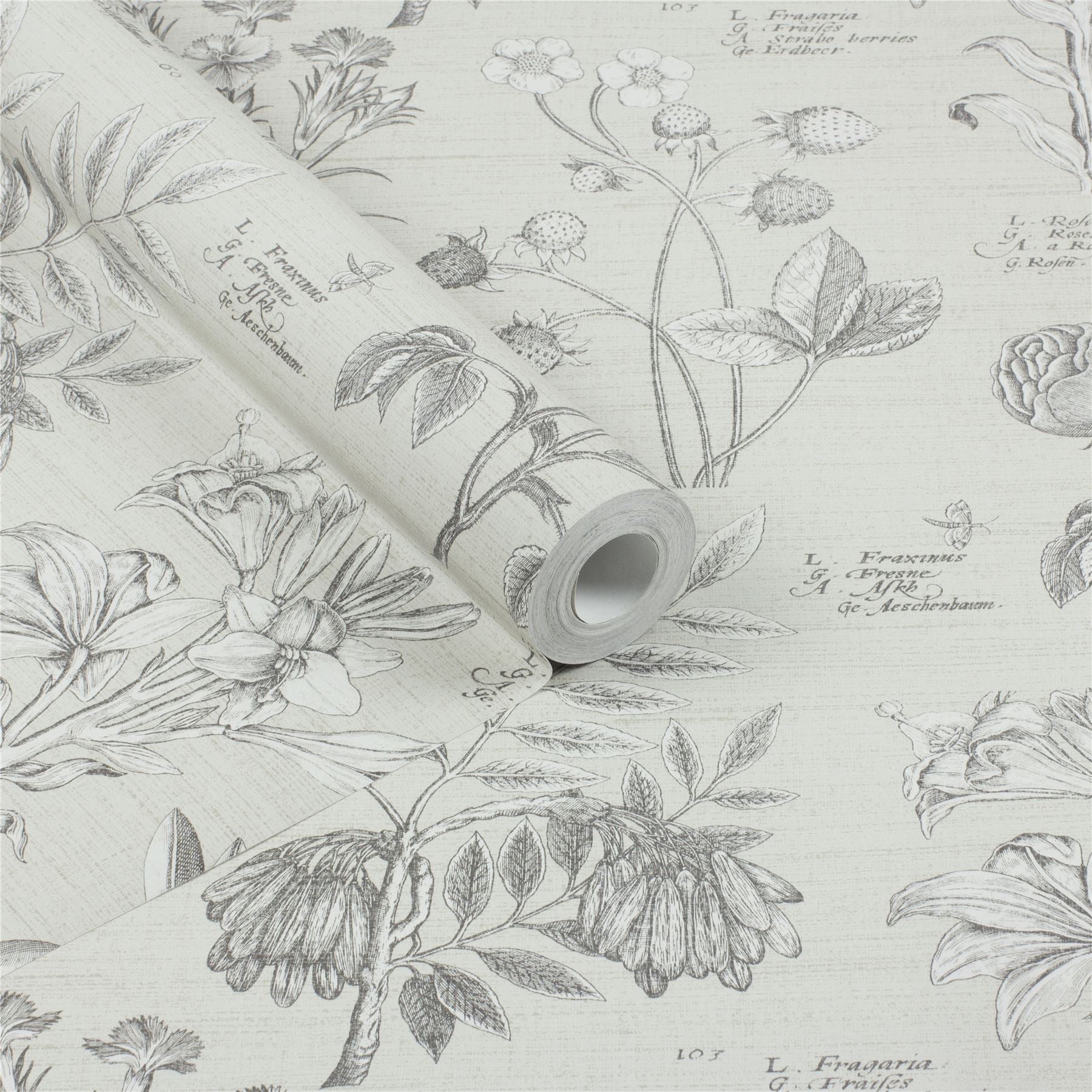 RHS Botanical Sketchbook Cream Wallpaper