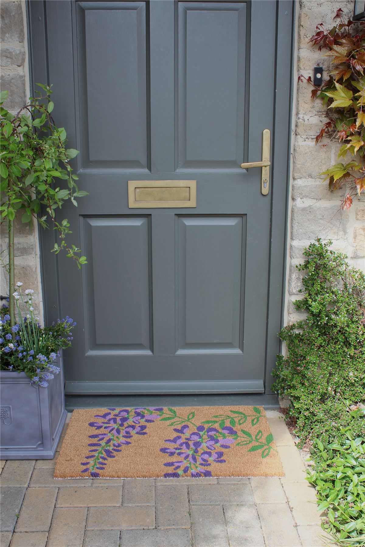 RHS Wisteria Door Mat