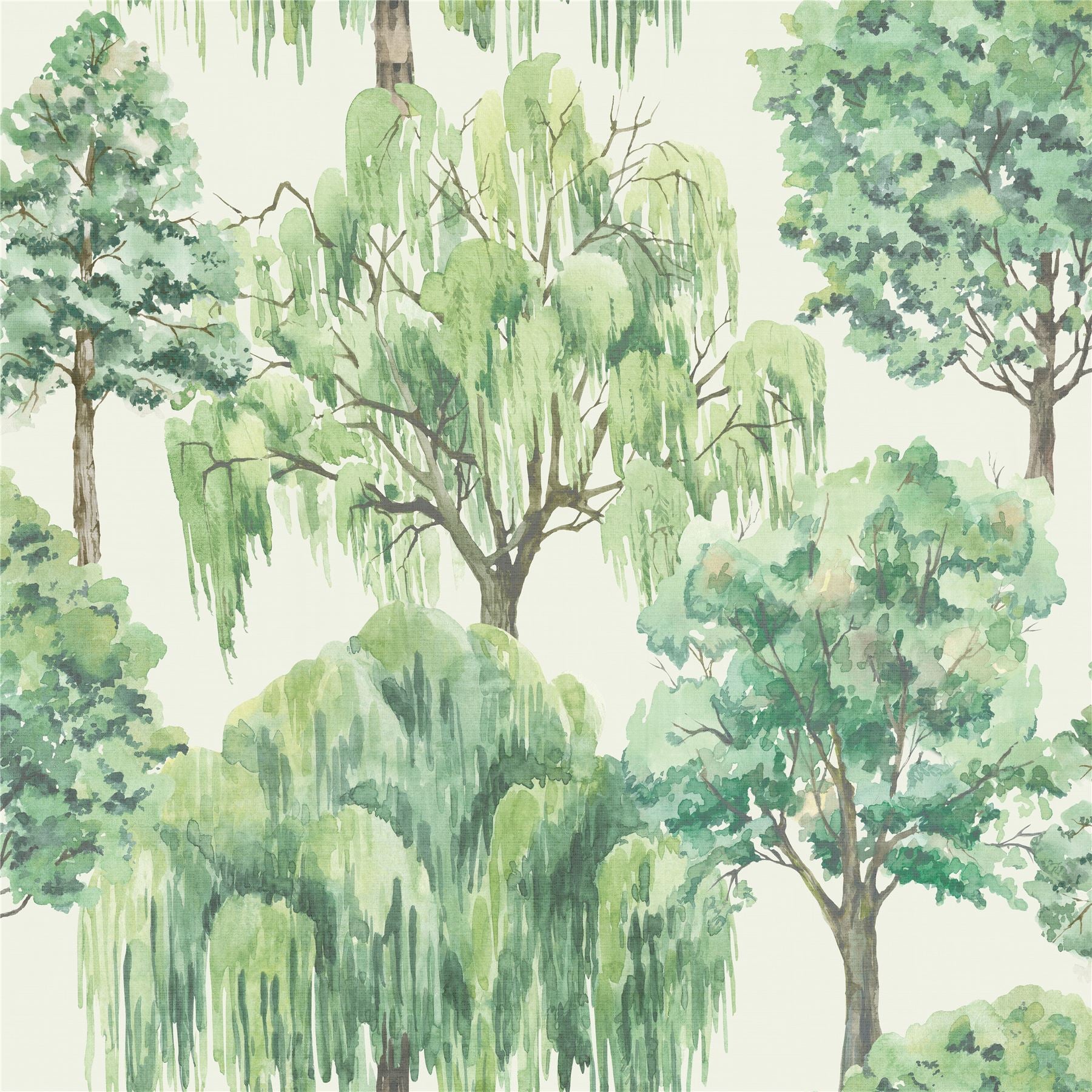 Whispering Willow Ivory/Green Wallpaper
