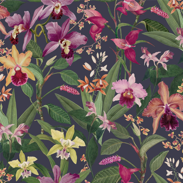 RHS Orchid Botanical Purple Wallpaper