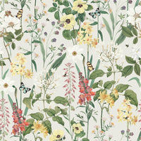 RHS Flower Medley Cream Wallpaper