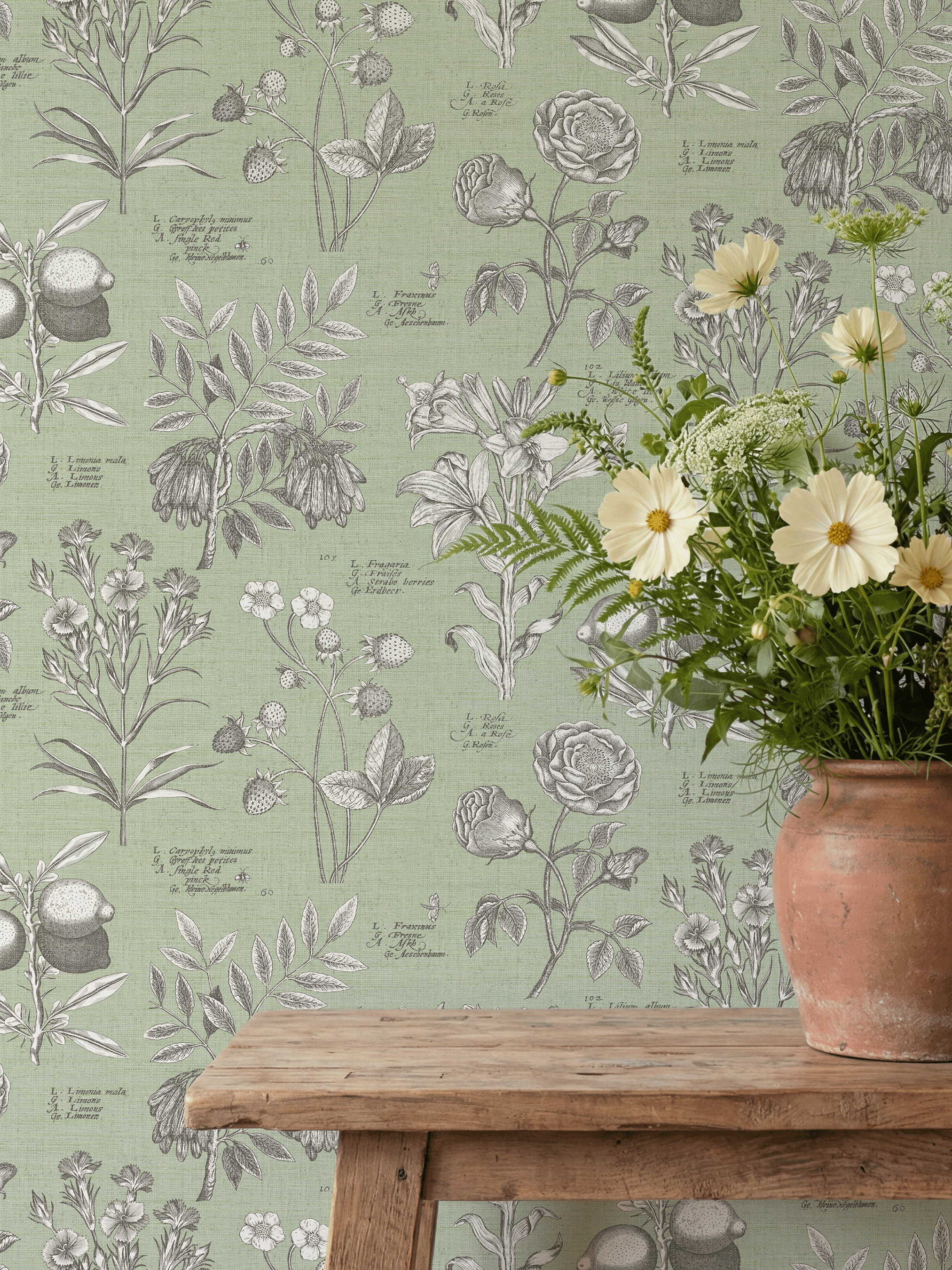 RHS Botanical Sketchbook Sage Wallpaper - Esselle Home