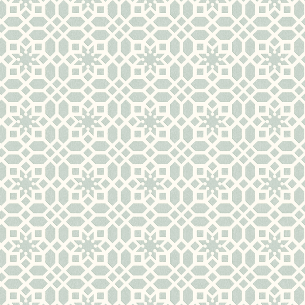 RHS Star Trellis Soft Blue Wallpaper