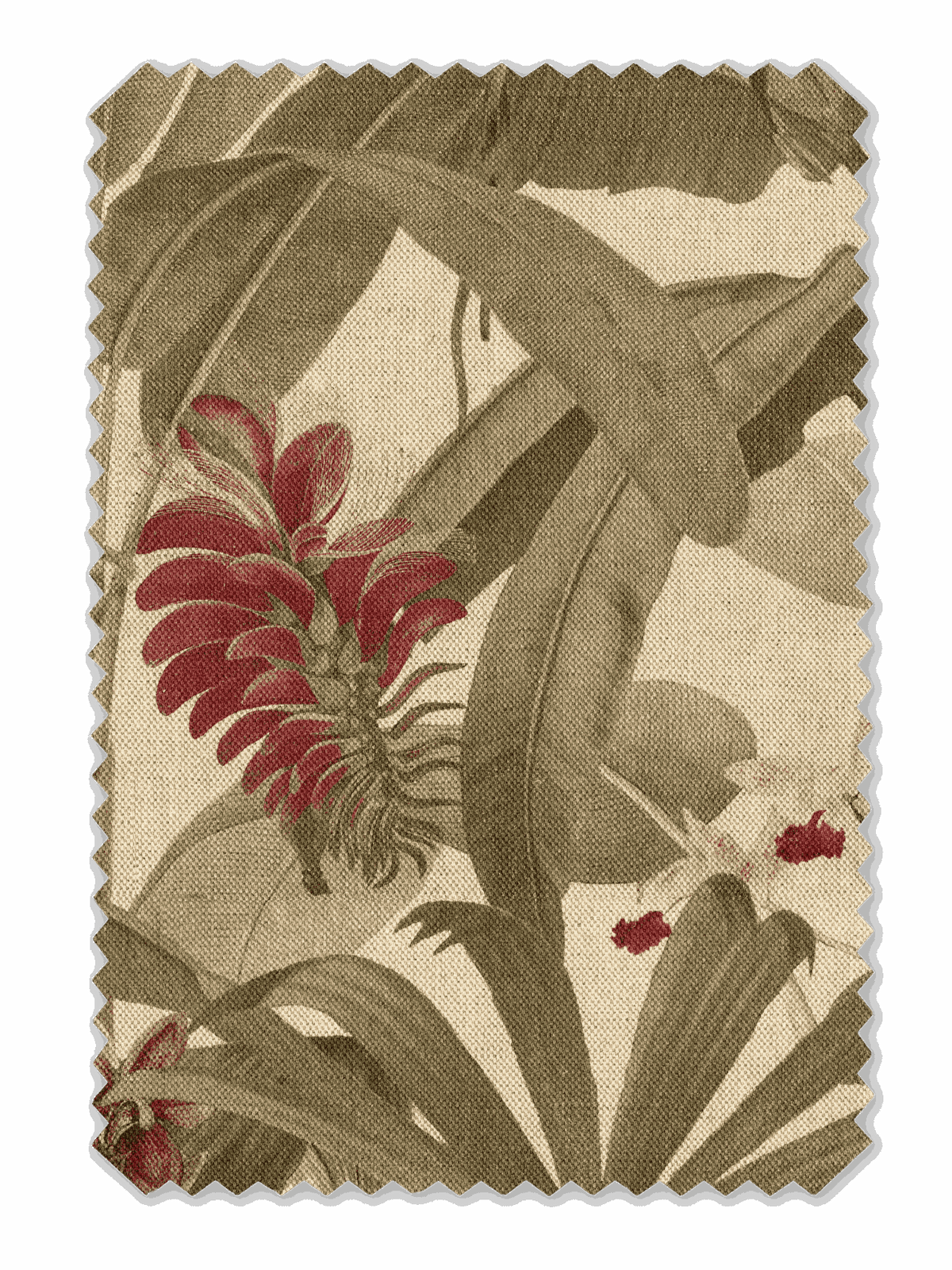 Saffron Natural Blind - Esselle Home