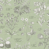 RHS Botanical Sketchbook Sage Wallpaper - Esselle Home