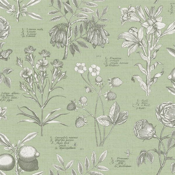 RHS Botanical Sketchbook Sage Wallpaper