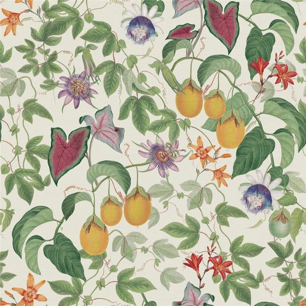 RHS Citrus & Vine Cream Wallpaper