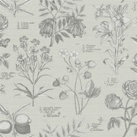RHS Botanical Sketchbook Cream Wallpaper - Esselle Home