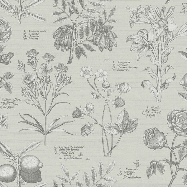RHS Botanical Sketchbook Cream Wallpaper