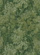 Wild Verdue Fresh Green Wallpaper