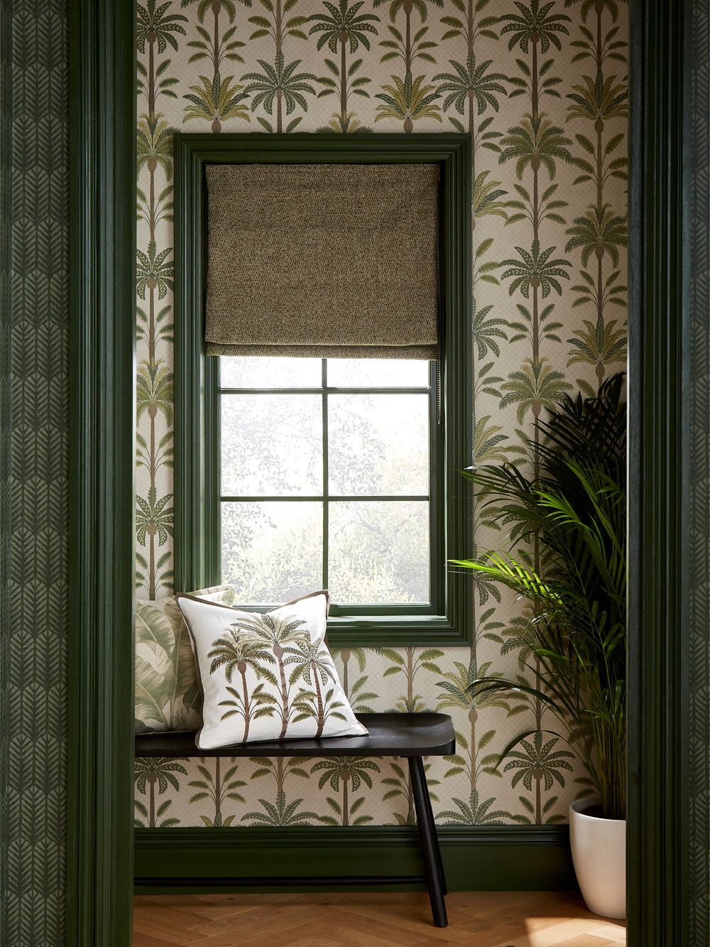 Solana layered palm wallpaper