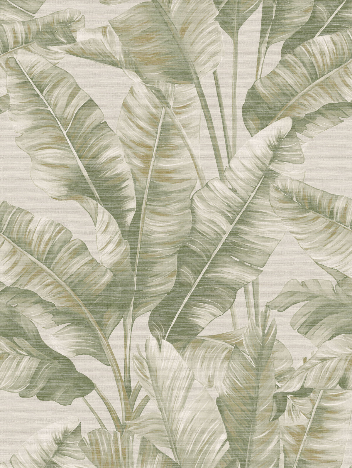 Canopy Soft Green Palm | Botanical Leaf Wallpaper - Esselle Home