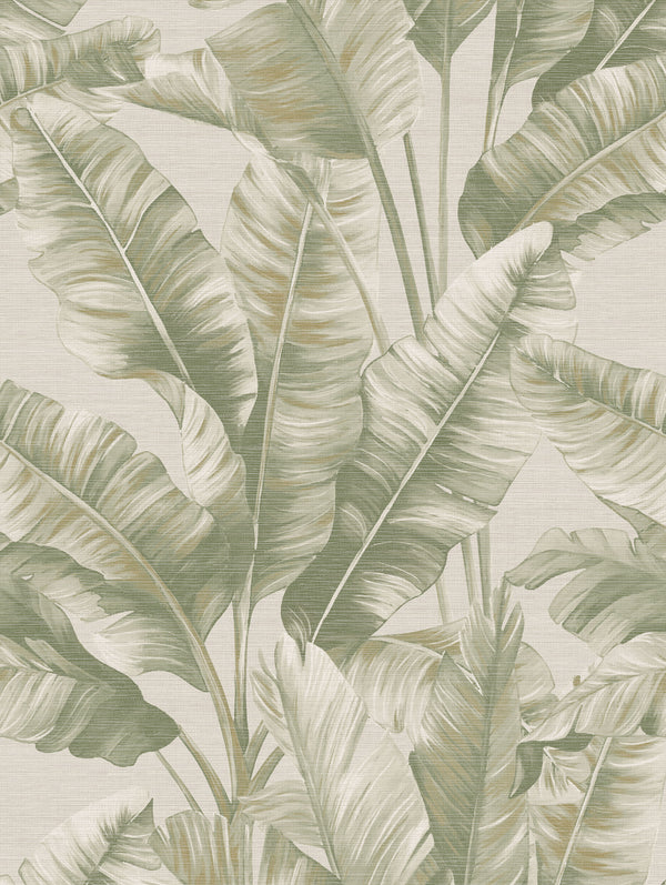 Canopy Soft Green Palm | Botanical Leaf Wallpaper
