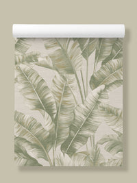 Canopy Soft Green Palm | Botanical Leaf Wallpaper - Esselle Home