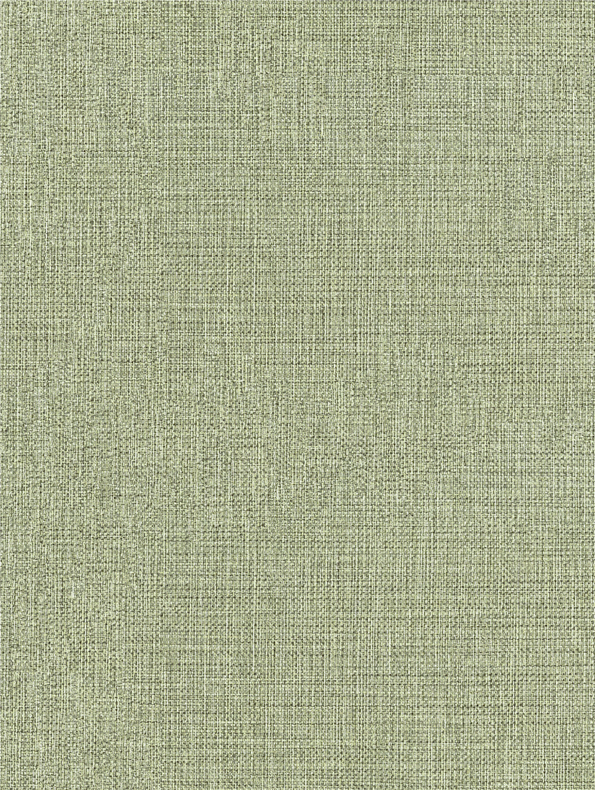 Sentosa Soft Green Wallpaper | Textured Vinyl Wallpaper - Esselle Home