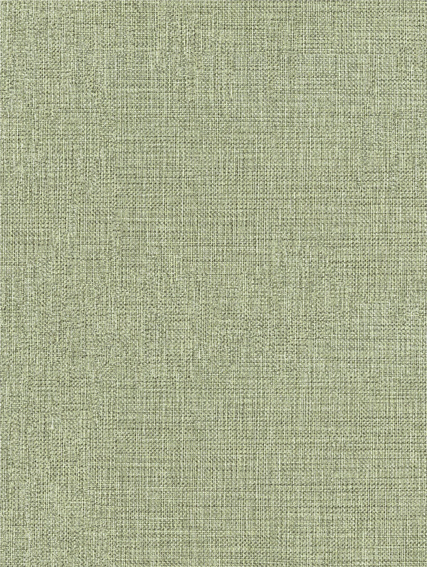 Sentosa Soft Green Wallpaper | Textured Vinyl Wallpaper