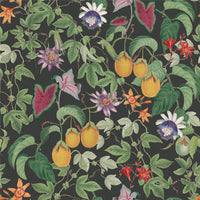 RHS Citrus & Vine Black Wallpaper - Esselle Home